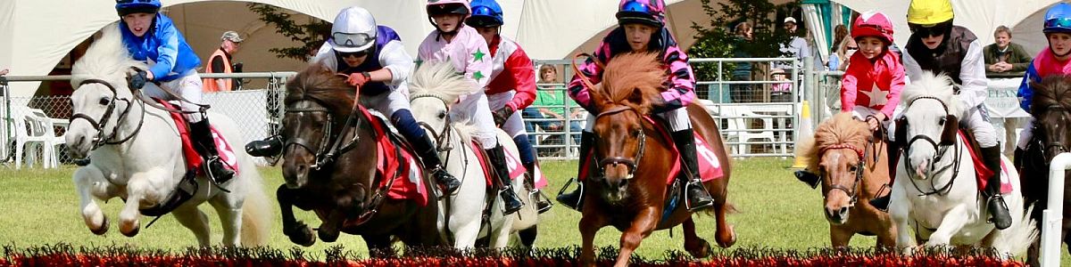 Shetland Pony Grand National